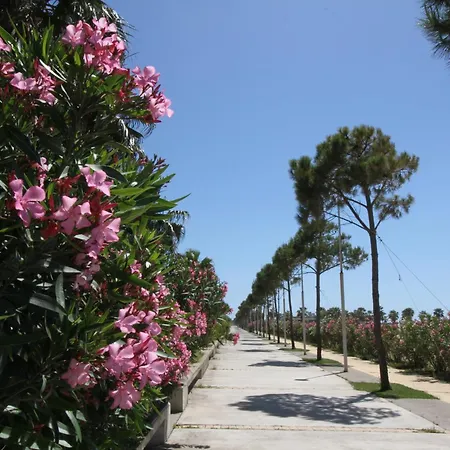 Διαμέρισμα Valamar B039 *